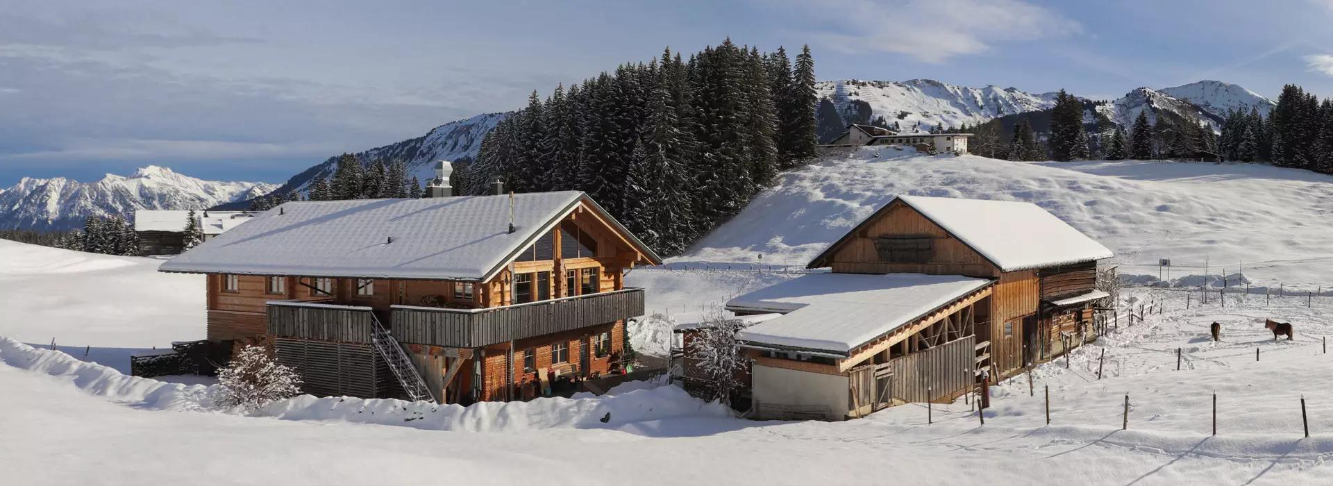 Naturzeithof Hirschegg (Vorarlberg) Eksteriør bilde